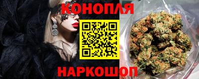 стаф Донской