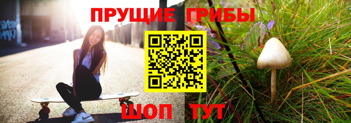 Моздок  Псилоцибиновые грибы MAGIC MUSHROOMS  Вход с VPN  Галлюциногенные грибы мухоморы 