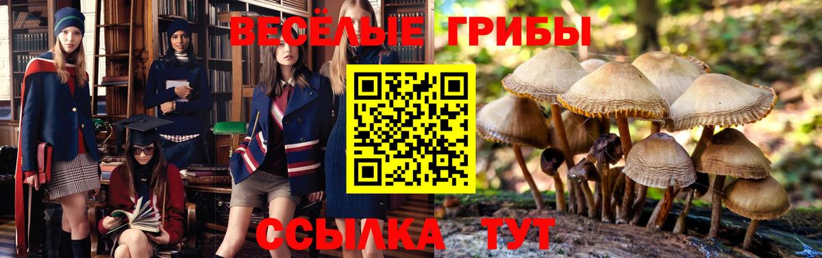 Марихуана  ГАШ  Cocaine  Альфа ПВП СК кристаллы  АМФЕТАМИН кристаллы  ГАШИШ  Марихуана  Моздок  Меф МЯУ МЯУ   Меф  