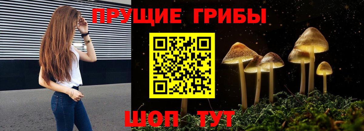 Псилоцибиновые грибы Magic Shrooms Моздок